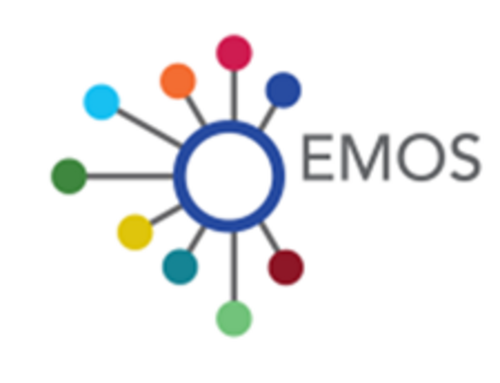 This picture shos the logo of EMOS (European Master in Official Statistics). 