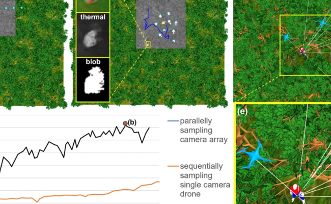 Drone swarm strategy for the detection and tracking of occluded targets in complex environments