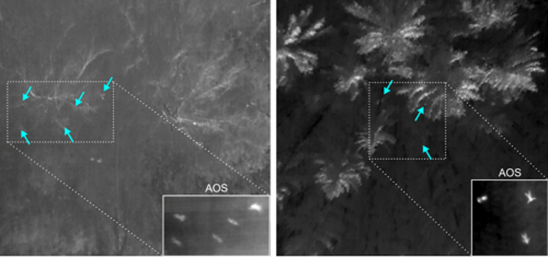 Zwei Wärmebild-Einzelaufnahmen über Laubwald (links) und Nadelwald (rechts), in denen Personen nicht gefunden werden können. Nur durch die Kombination mehrerer Einzelaufnahmen (AOS) werden Verdeckungen reduziert. So können Personen von einer autonomen Drohne zuverlässig detektiert werden. 

