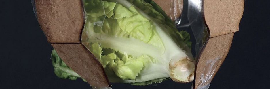 Gripper lettuce; Credit: JKU