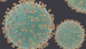 Coronavirus;  Credit: Felipe Esquivel Reed, CC BY-SA 4.0, via Wikimedia Commons