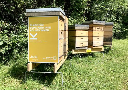 drei Bienenstöcke am JKU Campus