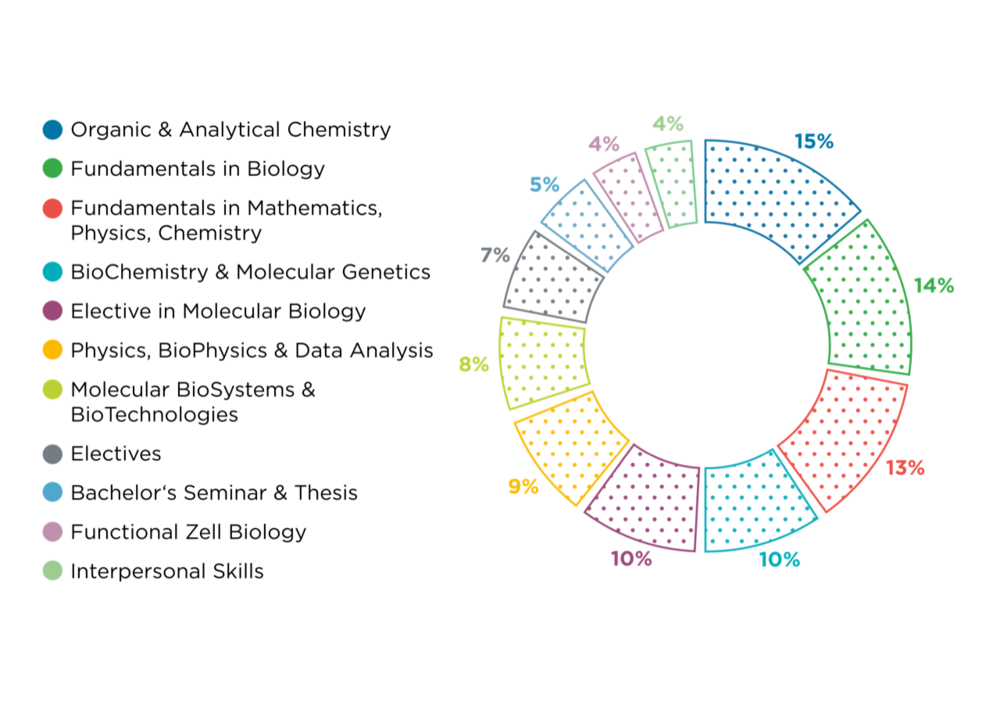 Pie Chart Bachelor's Molecular BioSciences