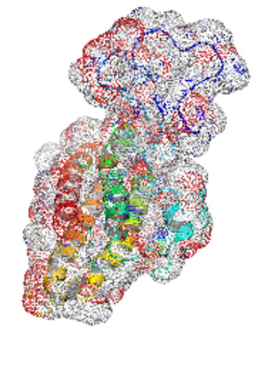 Rathner/JKU: 3D Struktur PSbQ-Protein