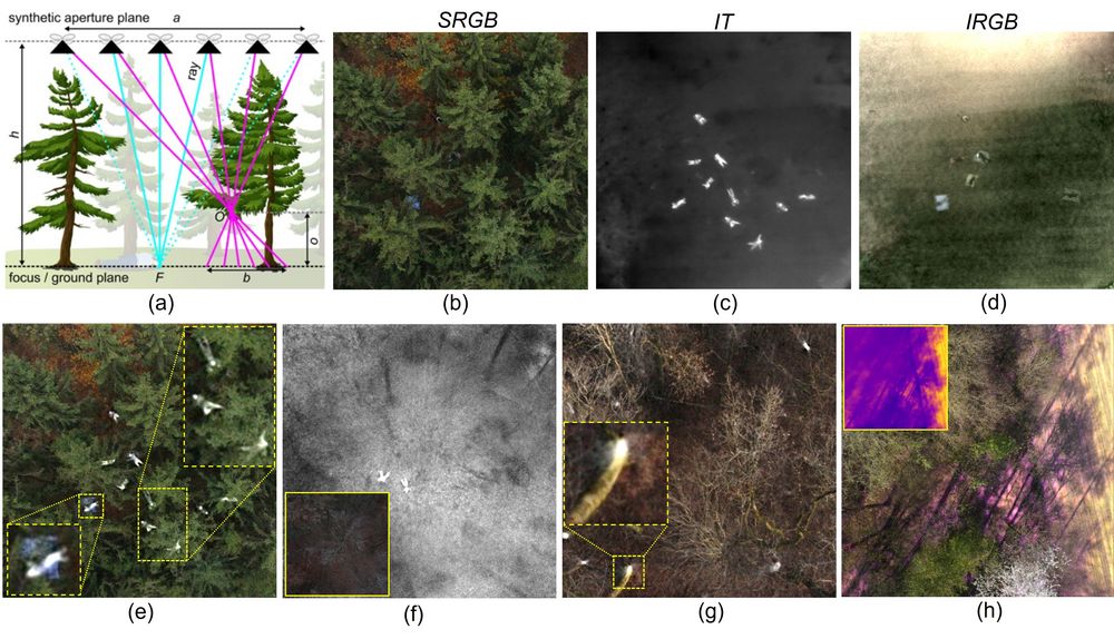 Fusion of Single and Integral Multispectral Aerial Images