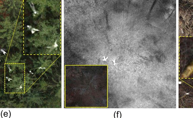 Fusion of Single and Integral Multispectral Aerial Images