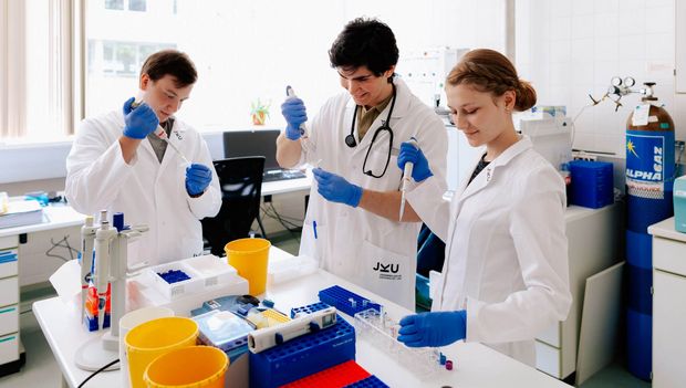 Medizin Studierende der JKU beim Forschen im Labor.