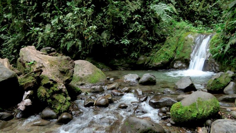 "Cascade en el Amazonas" (Ecuador)