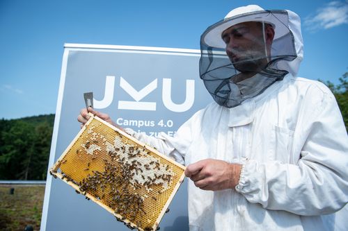 Imker mit Bienenwaben am Campus der JKU Linz