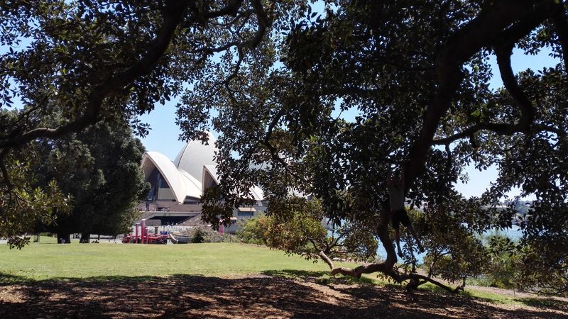 "Abhängen beim Sydney Opera House" (Sydney, Australien)
