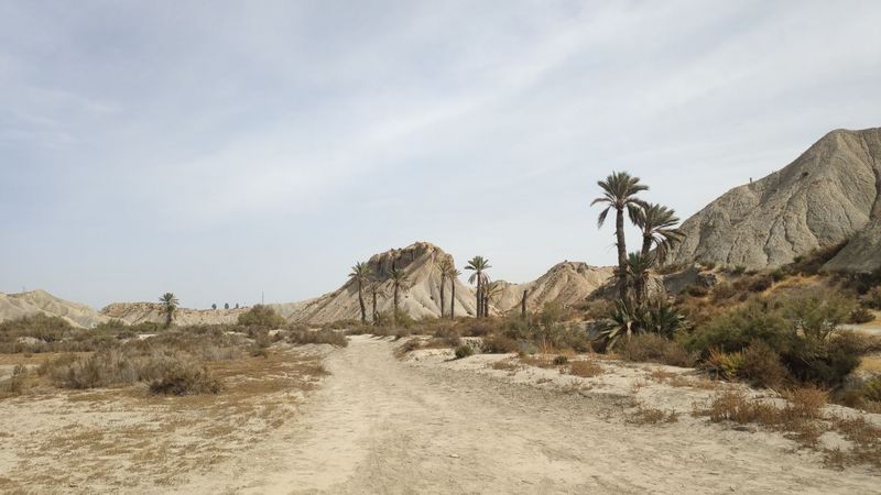 Wüstenlandschaft in Spanien (Tabernas Wüste, Spanien) 
