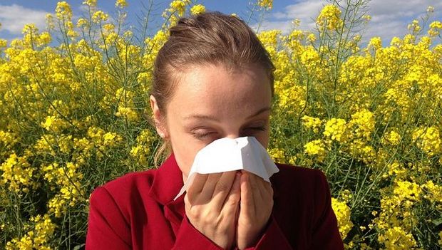 Allergie; Credit: Pixabay