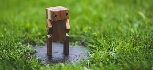 Sujet von Trust in Robots - Trusting Robots: ein Roboter aus Holz auf einer Wiese