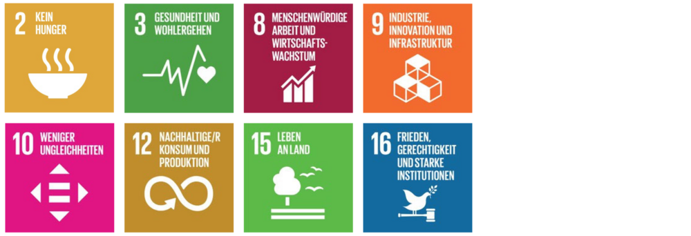 SDGs 2, 3, 8, 9, 10, 12, 15, 16