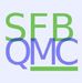 Das Bild zeigt die Aufschrift "SFB QMC". "SFB" ist hellgrün geschrieben. "QMC" lila. Und die beiden Buchstaben "MC" sind hellgrün unterstrichen.
