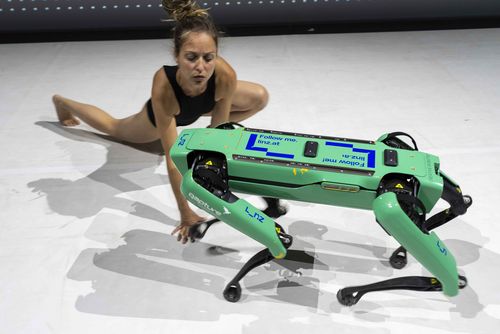 Silke Grabinger tanzt mit Computerhund