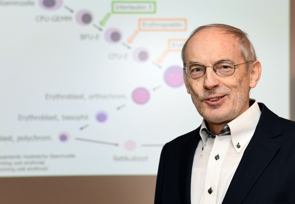 Professor Donnerer erklärte den Medizin-Nobelpreis.