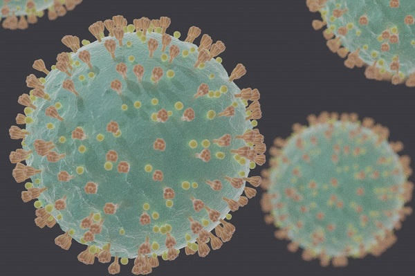 Coronavirus;  Credit: Felipe Esquivel Reed, CC BY-SA 4.0, via Wikimedia Commons