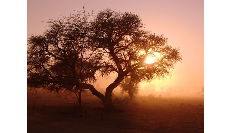 2010: "Sonnenaufgang in der Namibischen Wüste" (Naukluft Nationalpark, Namibia), 1. Preis Kategorie "Stadt, Land, Fluss"