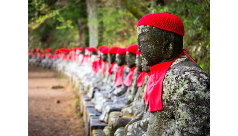 2015: "Silent Witness" (Nikko, Japan), 3. Preis Work Abroad Photo Contest