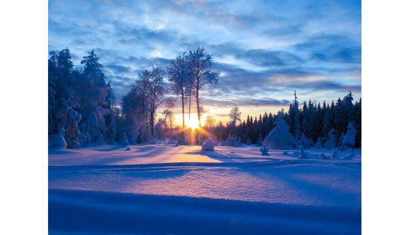 "Winter in Lappland" (Luleå, Schweden)