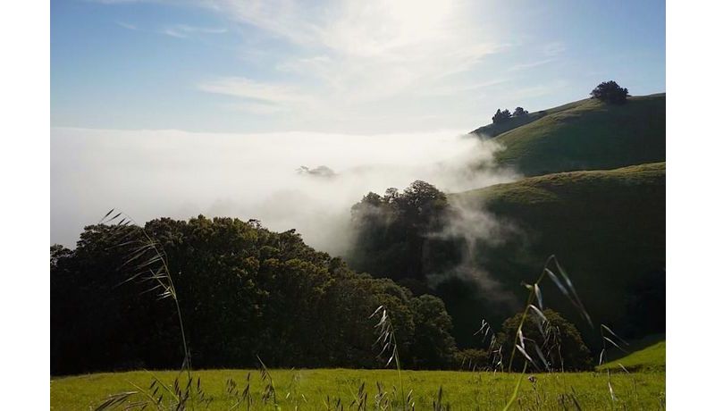 "Der Nebel namens Karl – Karl the Fog "
(Mount Tamalpays, Bay Area nahe San Francisco, USA)
