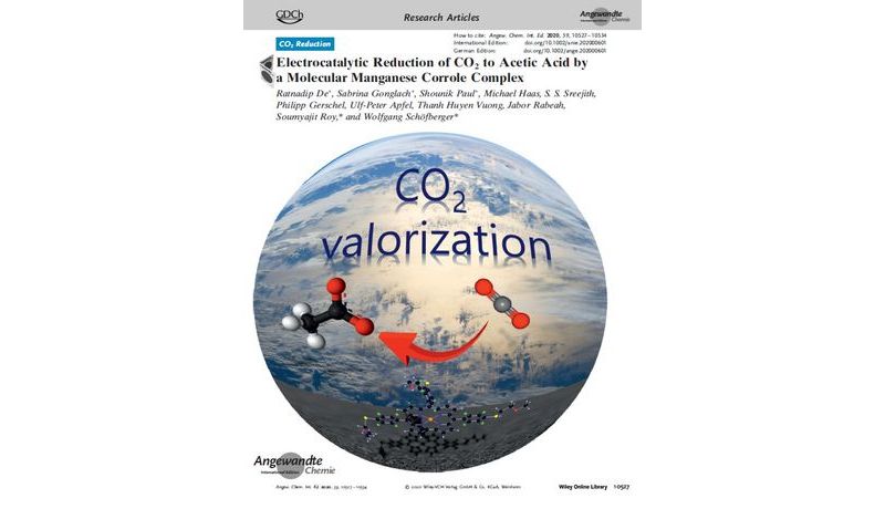 Cover: Angewandte Chemie 2020