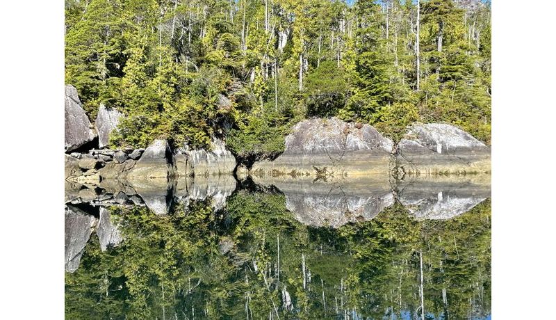 Natural Mirror (Tofino, Kanada)
