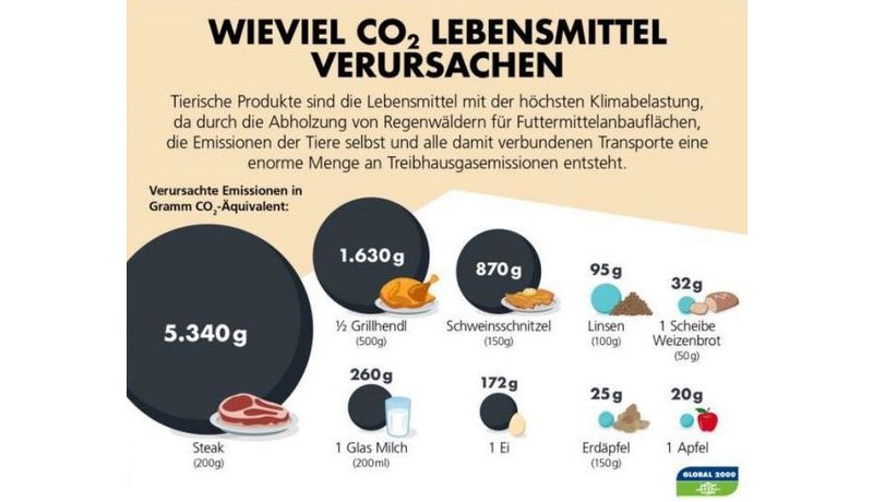 steak needs 41x more CO2 than the same amount of bread? 