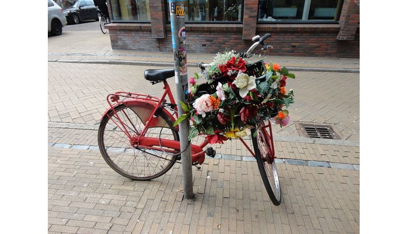 "Normal Dutch Bike" (Groningen, The Netherlands)
