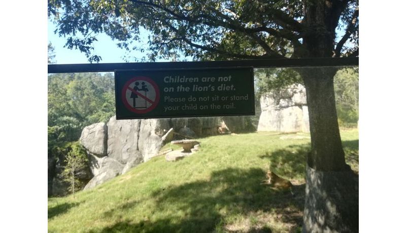 "The American Humor" (North Carolina Zoo, USA)