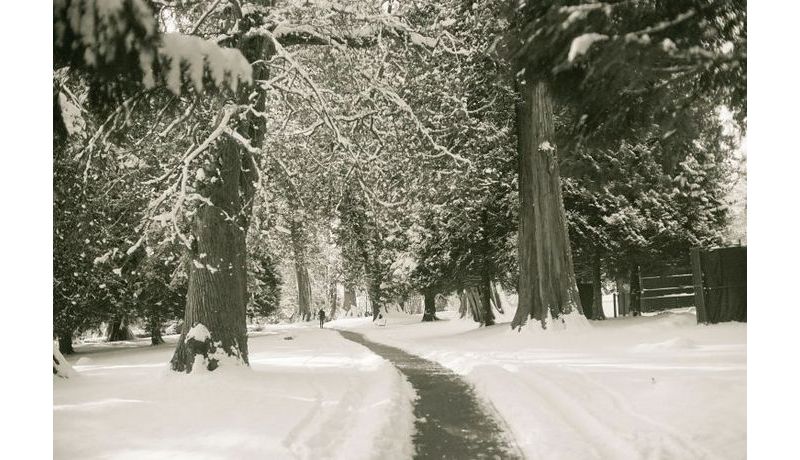 Winter Wonderland (Vancouver, Kanada)