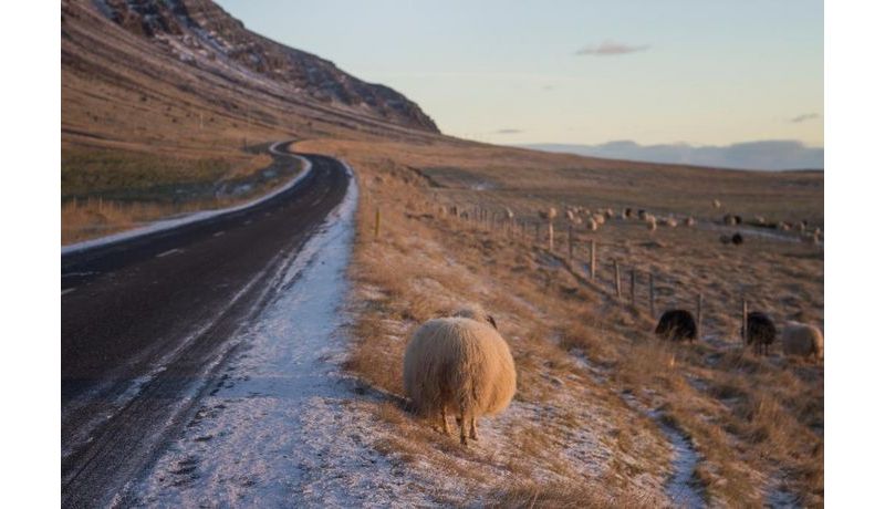 "Icelandic Roads..." (Island)
