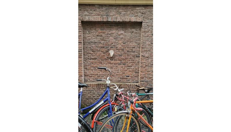 Netherland Essentials – Bikes and Art (Amsterdam, Niederlande)
