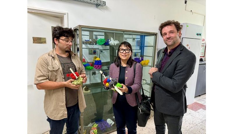 Assoc. Prof. Marius Mihasan (Faculty of Biology), Soyoung Lee (with 3D-printed model of a LAC-Operon) Andrei; Credit: JKU